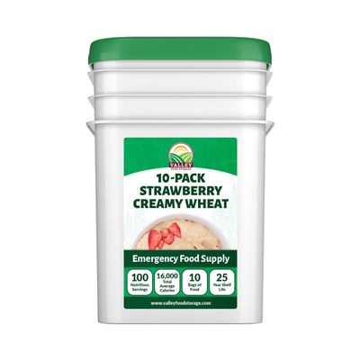 Valley Food Storage Freeze Dried Strawberry Creamy Wheat | 10-Bag Bucket, 100 Servings | Premium Emergency Food Supply, 25 Year Shelf Life | Survival Breakfast Food for Prepper Storage & Camping