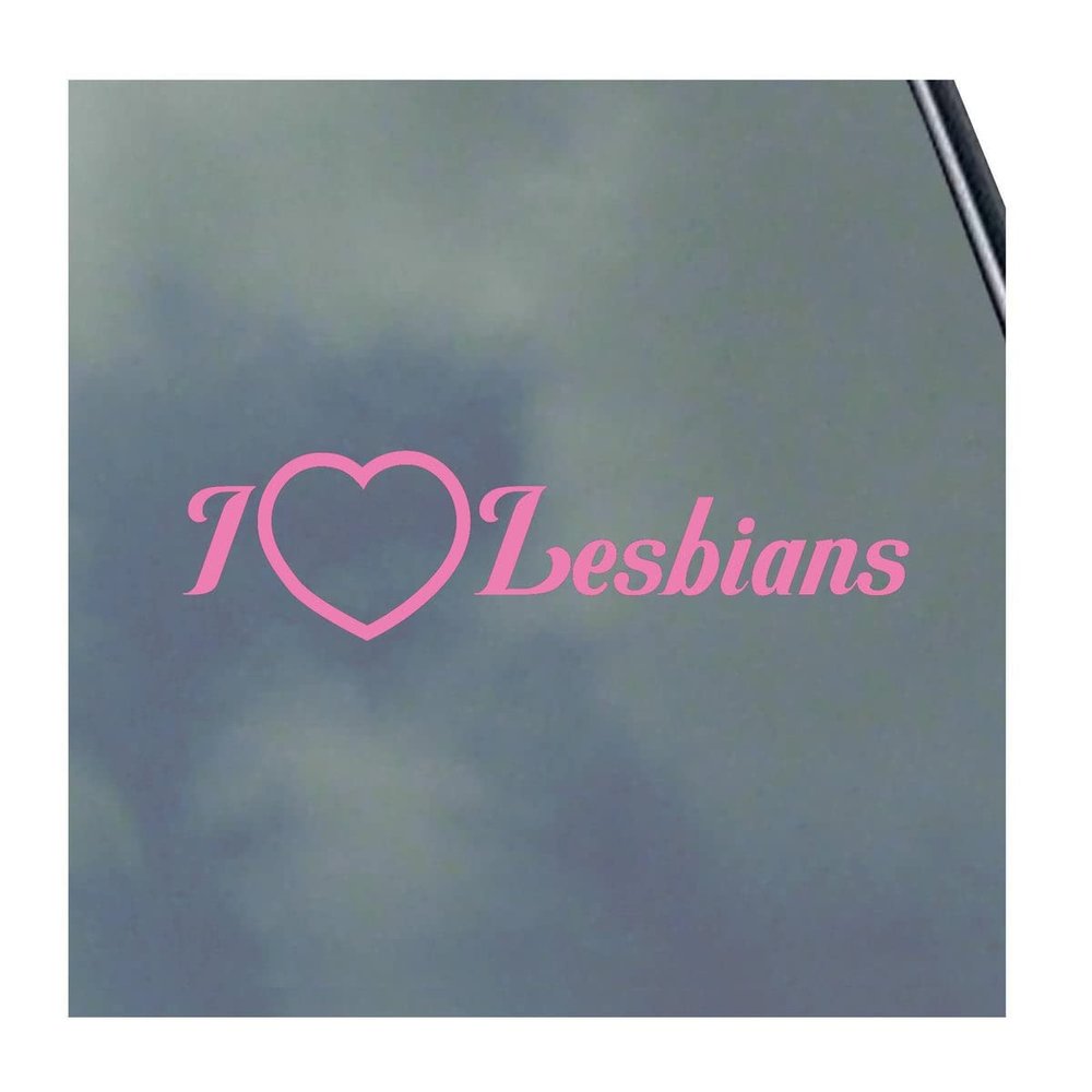 I Love Lesbians Vinyl Sticker Decal LGBTQ+ Proud Gay Pride Be You