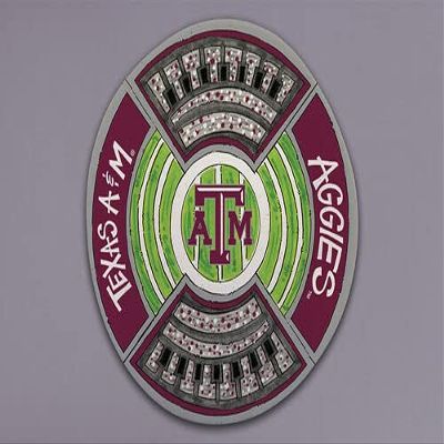 Magnolia Lane Texas A&M Aggies Round Stadium Plate, 13.5-inch Diameter, Melamine, Kitchen Accessories