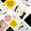 Stone Armory Earrings for University of Iowa Jewelry Gifts for Women, Graduation  Stainless Steel Skin-Friendly Iowa Hawkeyes stud earrings view 3