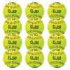 Franklin Sports 12" Fastpitch Softballs - 12 Pack, Official Size and Weight, Durable Construction, Optic Yellow Cover, Flat Seams, Synthetic Cover view 1