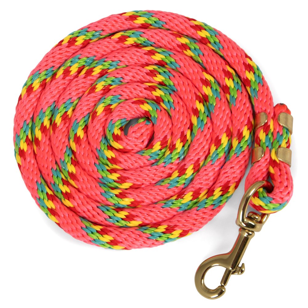 Jeffers Equine Nylon Horse Lead Rope, 5/8" x 8', Pink - Heavy Duty, Durable Nylon Rope with Bolt Snap, Rust Resistant Brass Hardware for Horses - Training, Grooming, & Equestrian Accessories