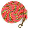 Jeffers Equine Nylon Horse Lead Rope, 5/8" x 8', Pink - Heavy Duty, Durable Nylon Rope with Bolt Snap, Rust Resistant Brass Hardware for Horses - Training, Grooming, & Equestrian Accessories view 1