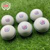 6 White Synthetic Cricket Balls with Seam 90g Weight Hand Stitched for Indoor/Outdoor | Game | Coaching | Bowling Machine | Cricket Lite Safe for Bounce Swing Spin (6) view 1