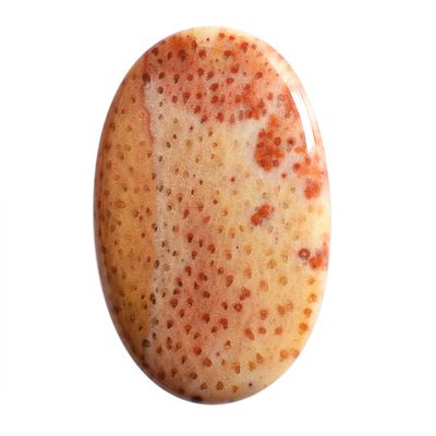 SilverO Natural Louisiana Palm Wood Jasper Oval Shape Cabochon Size 40x25x4.5 MM Pendant Jewelry Making Gemstone It Helps its Wearer to be Practical and Strong AG-14711