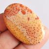 SilverO Natural Louisiana Palm Wood Jasper Oval Shape Cabochon Size 40x25x4.5 MM Pendant Jewelry Making Gemstone It Helps its Wearer to be Practical and Strong AG-14711 view 4