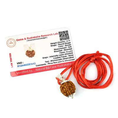 Aleafa Armlet Presents 3 Mukhi Rudraksha/Three Faced Rudraksha Pendant Original Rudraksha Locket (Color Brown) #Aport-0121