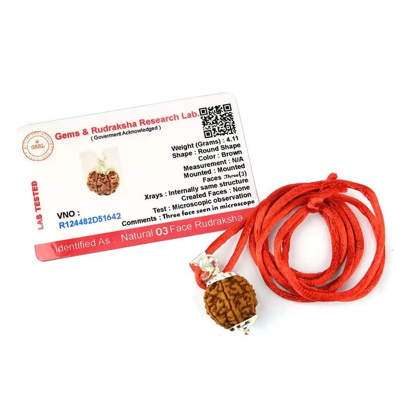 Aleafa Armlet Presents 3 Mukhi Rudraksha/Three Faced Rudraksha Pendant Original Rudraksha Locket (Color Brown) #Aport-0121