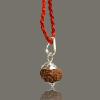 Aleafa Armlet Presents 3 Mukhi Rudraksha/Three Faced Rudraksha Pendant Original Rudraksha Locket (Color Brown) #Aport-0121 view 2