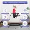 ZENOVA 40" Mini Trampoline, Rebounder Trampoline for Adults Fitness Trampoline with Adjustable Bar Rebounder Trampoline Indoor Jumping Workouts view 2