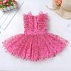 AWIBMK Baby Girls 1st Birthday Outfit Colorful Polka Dots Princess Tutu Dress Cake Smash Clothes for Photo Shoot Hot Pink Love Heart 12-18 Months view 3