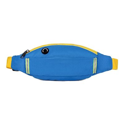 XIXIDIAN Running Belt Fanny Pack,Waist Pack Bag,Reflective Runners Belt Jogging Pocket Belt for Day Gift (Color : Blue, Size : 29 * 12CM)