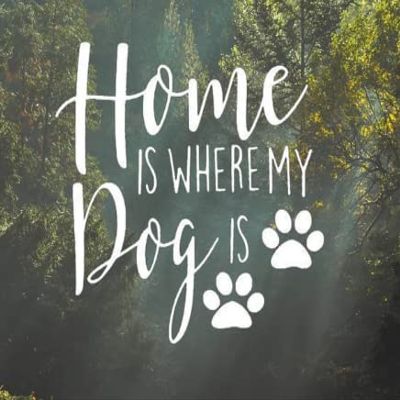 Kramer Home is Where My Dog is w/Paw Prints Sticker for Car Vinyl Decal Window Truck Car Bumper Sticker Motorcycle Decal 5.5 5.5 in. (Silver)