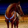 SSZYace Adjustable LED Horse Breastplate Collar, Nylon LED Night Flashing Light Bar Harness Tack Equestrian Safety Gear with 3 Lighting Modes and USB Rechargeable (Blue) view 1