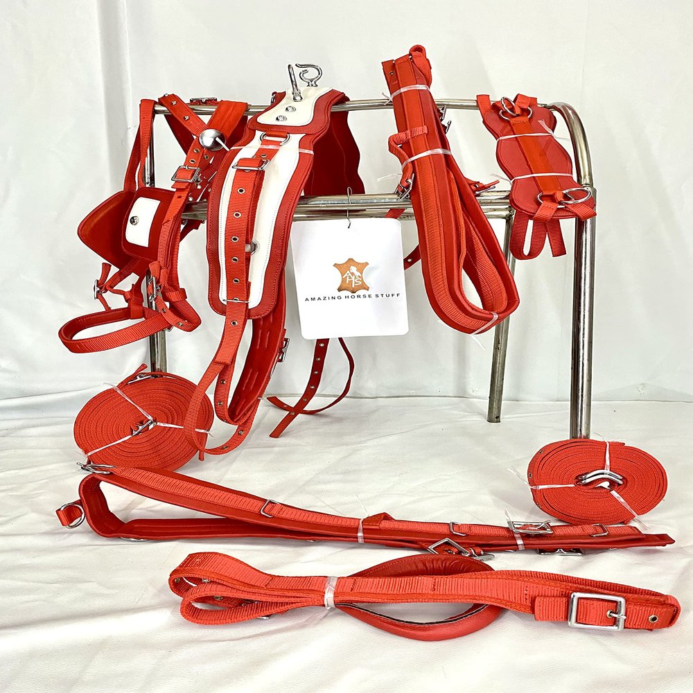 AMAZING HORSE STUFF Nylon Horse Driving Harness | Carved Chrome studds on Saddle and Bridle | Full | Cob | Pony | Shetland | Mini | Red & White | (Cob)