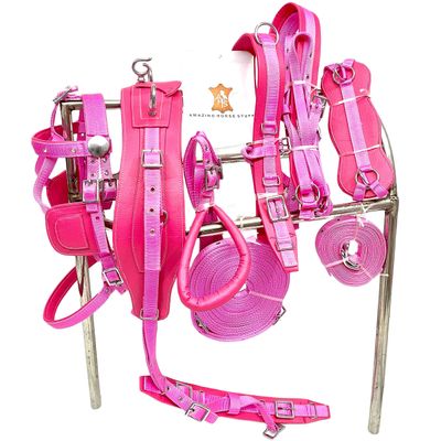 AMAZING HORSE STUFF Unisex Nylon Driving Harness in Pink for Single Horse Cart Pink (Pony)
