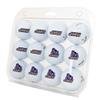 Desert Cactus James Madison University Golf Balls 12 Pack  JMU Dukes Full Color Dozen  Officially Licensed Sport Team Accessory view 1