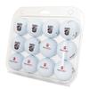 Desert Cactus Belmont Abbey College Golf Balls 12 Pack  BAC Crusaders Full Color Dozen  Officially Licensed Sport Team Accessory view 1