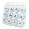 Desert Cactus George Mason University Golf Balls 12 Pack  GMU Patriots Full Color Dozen  Officially Licensed Sport Team Accessory view 1