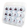 Desert Cactus Northern Illinois University Golf Balls 12 Pack  NIU Huskies Full Color Dozen  Officially Licensed Sport Team Accessory view 1
