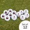Desert Cactus Northern Illinois University Golf Balls 12 Pack  NIU Huskies Full Color Dozen  Officially Licensed Sport Team Accessory view 4