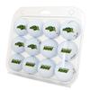 Desert Cactus North Dakota State University Golf Balls 12 Pack  NDSU Bison Full Color Dozen  Officially Licensed Sport Team Accessory view 1