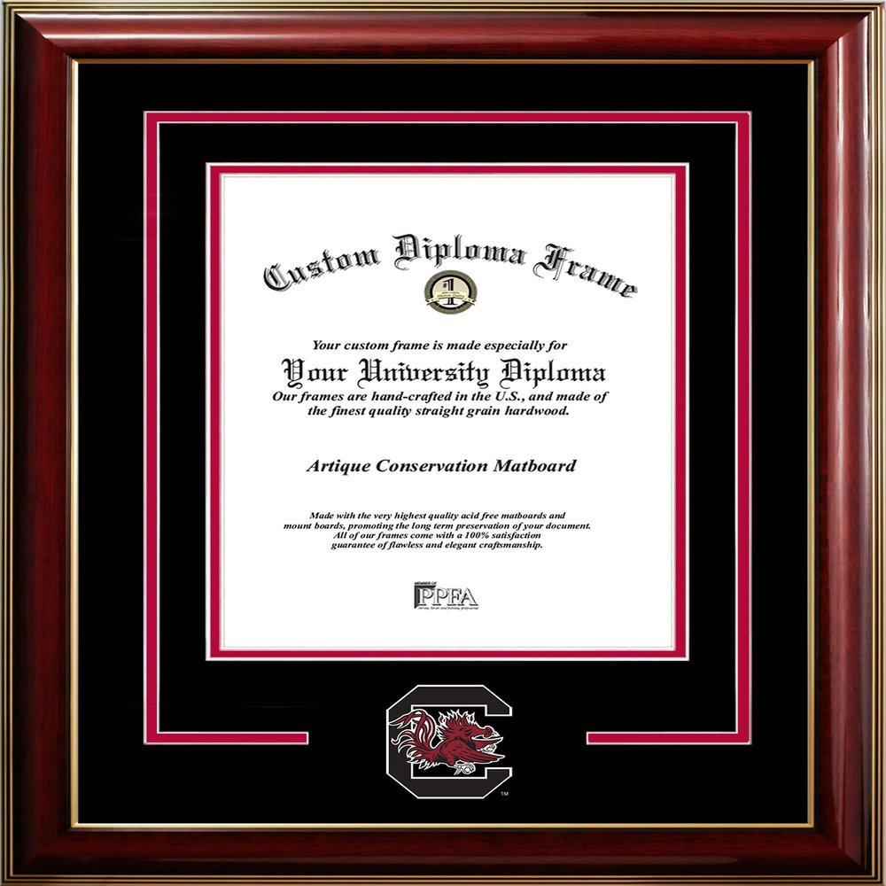 Campus Images South Carolina Gamecocks 11w x 14h Classic Spirit Logo Diploma Frame