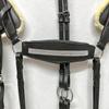 Amazing Horse Stuff Stylish 5 Point Breastplate & Martingle Decorated with Sparkling Stones (Black, Full) view 2