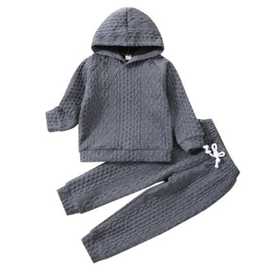 Toddler Boys Girls Clothes Long Sleeve Knit Hooded Sweatshirt Tops Solid Pants Trousers 2PCS Winter (Grey, 2-3 Years)
