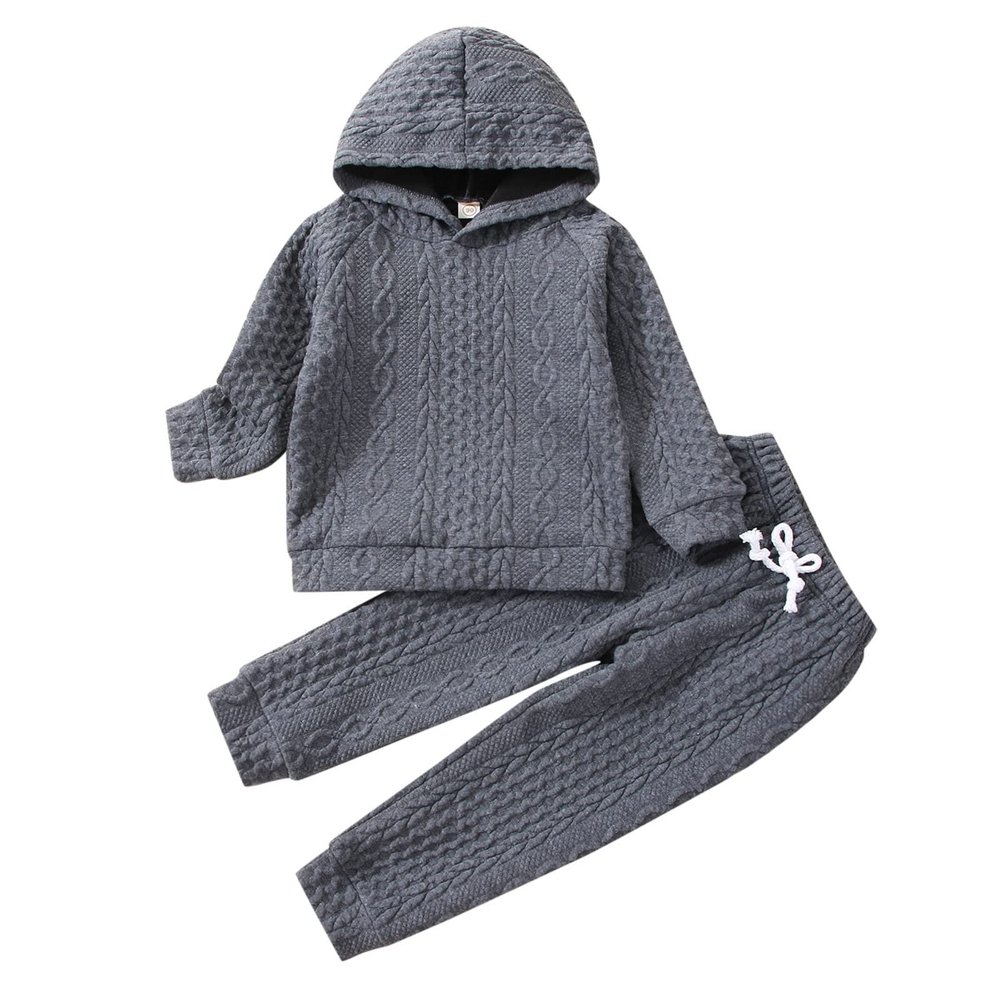 Toddler Boys Girls Clothes Long Sleeve Knit Hooded Sweatshirt Tops Solid Pants Trousers 2PCS Winter (Grey, 2-3 Years)