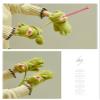 Winter Gloves Funny Creative Cute Little Frog Gloves Winter Female Plush Even Finger Hanging Neck Warm Anti-Cold Mittens (Color : Pink, Size : One Size) view 4