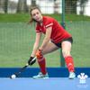 FORZA C95 Field Hockey Sticks - 95% Carbon Fibre | Mid/Pro/Low Bow (37.5" | Pro Bow, Grey) view 3