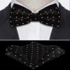 TIE G Men's Glitter Velvet Bow Tie + Pocket Square Set in Gift Box for Wedding, Party : Glittering Effects, Unisex Design (Imperial Black) view 3