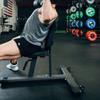 Titan Fitness Seated Stationary Bench, Rated 330 LB, Ergonomic Angled Back, Comfortable HeftyGrip Padding, Front Handle, Rear Wheels for Easy Transport, Utility Upright Weight Bench view 4