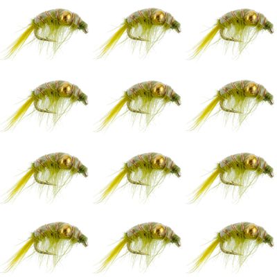 The Fly Fishing Place Olive Beaded Shrimp Scud - 1 Dozen - Patterns Size 12 - Tailwater Lake Fly Fishing Nymph Flies