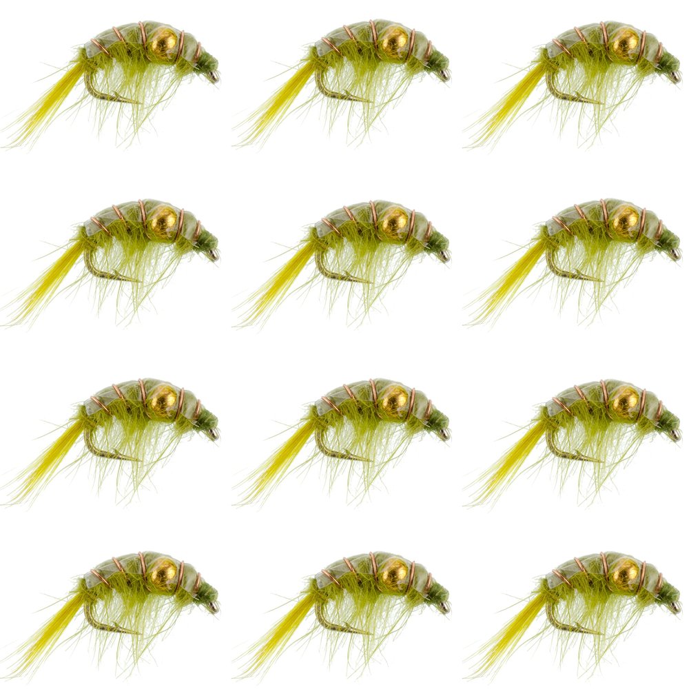 The Fly Fishing Place Olive Beaded Shrimp Scud - 1 Dozen - Patterns Size 12 - Tailwater Lake Fly Fishing Nymph Flies