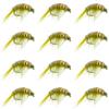The Fly Fishing Place Olive Beaded Shrimp Scud - 1 Dozen - Patterns Size 12 - Tailwater Lake Fly Fishing Nymph Flies view 1