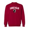 UGP Campus Apparel AW03 - Carnegie Mellon Tartans Arch Logo Crewneck Sweatshirt - 3X-Large - Cardinal view 1