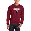 UGP Campus Apparel AW03 - Carnegie Mellon Tartans Arch Logo Crewneck Sweatshirt - 2X-Large - Cardinal view 4