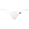 Daenrui Men's Mesh Sheer See Through Low Rise G-String T-Back Micro Mini Thongs Bikini Briefs Underwear White Medium view 1