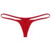 Daenrui Men's Mesh Sheer See Through Low Rise G-String T-Back Micro Mini Thongs Bikini Briefs Underwear Red Medium view 4