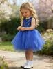 AGQT Baby Girls Birthday Tutu Dress Sequin Tulle Soft Lined Formal Princess Dresses for Party Wedding Sapphire Blue 12-18 Months view 3