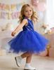 AGQT Baby Girls Birthday Tutu Dress Sequin Tulle Soft Lined Formal Princess Dresses for Party Wedding Sapphire Blue 12-18 Months view 4