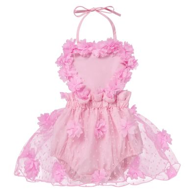 Baby Girls 1st Birthday Outfit Heart Lace Romper Flower Tutu Princess Dress with Tulle Skirt Sleeveless Backless Jumpsuit Sunsuit Playwear Dress Cake Smash Photo Shoot Clothes Pink Flower 6-12 Months
