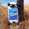 Stella 29" Beer Runner Moon Cruiser Complete view 4