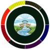 Country Brook Design - Green Tubular Nylon Webbing (1 Inch, 100 Yards) view 1