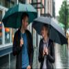 SIEPASA Two Packs Auto Open & Close Small Travel Umbrella Compact for Backpack-Umbrellas for Rain, Lightweight Strong Mini Portable Umbrellas for Men and Women. (Black & Green, 2 Pack) view 3