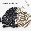 14G Bicycle Spokes 2.0 Round Spokes J-Bend/Straight Pull Head Bicycle Spokes Black Bicycle Spokes with Copper Cap (Color : Steaight 56pcs) view 4