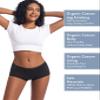 Goat Union Organic Cotton Boyleg Period Underwear for Women & Teens - Moderate Absorbency Period Panty, Black, XL, Pack of 1 view 3