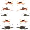 The Fly Fishing Place Basics Collection - Kaufmann's Tungsten Bead Stonefly Nymph Assortment - 10 Bead Head Rubber Legs Wet Flies - 5 Patterns - Hook Sizes 4, 6, 8, 10, and 12 view 1